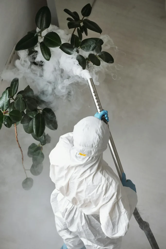 Trusted Pest Control - Ossining Pest Control Pros | Ossining, NY | 914-229-9316